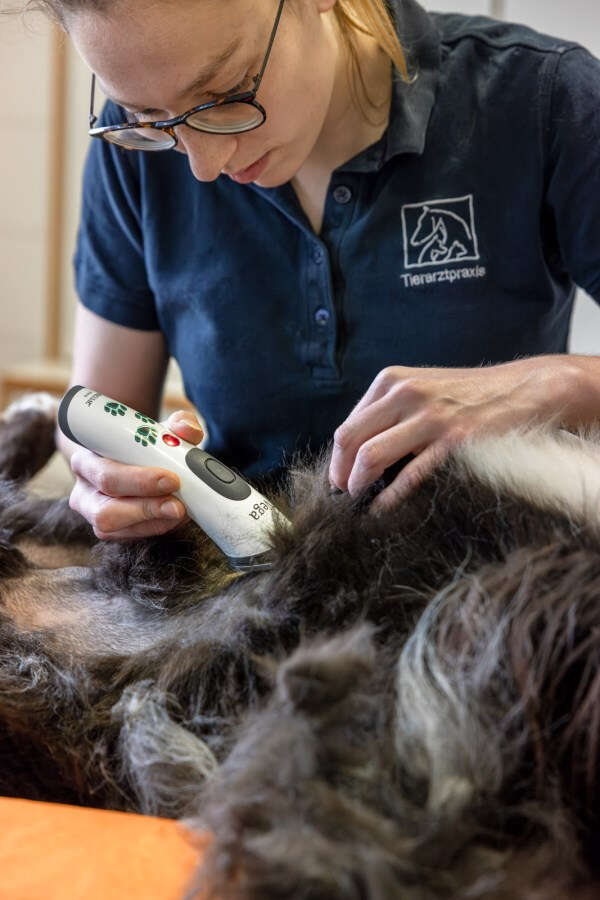 AESCULAP Akkuschermaschine Vega